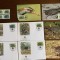 keeling - pasari - serie 4 timbre MNH, 4 FDC, 4 maxime, fauna wwf