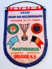Fanion fotbal PANATHINAIKOS ATENA - FC BRUGGE 03.11.1994