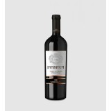 Torrevento Infinitum Nero di Troia &amp; Primitivo - Vin Rosu Sec - Italia - 0.75L
