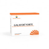 GALAFOR FORTE 30CPS, Sun Wave Pharma