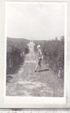 Bnk foto Monumentul de la Pades - 1973, Alb-Negru, Romania de la 1950, Cladiri