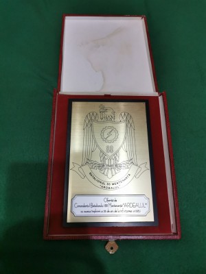 Placheta Batalionul 88 mentenanta Ardealul foto