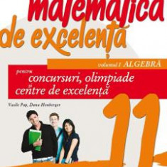 Matematica de excelenta - Clasa 11 Vol.1: Algebra - Vasile Pop, Dana Heuberger