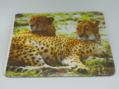 Mouse Pad Gembird (tigri) pentru mouse foto