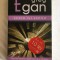 Greg Egan - Scara lui Schild