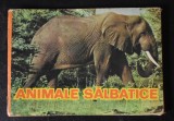 Animale sălbatice - pliant cartonat &Icirc;ntreprinderea Poligrafică &bdquo;Banat&rdquo; Timișoara / 1984