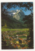 AT3 -Carte Postala-AUSTRIA- Garmisch-Partenkirchen, necirculata, Fotografie