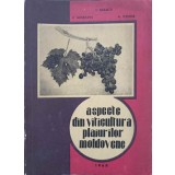 ASPECTE DIN VITICULTURA PLAIURILOR MOLDOVENE-I. NEAMTU, V. MOLEAVIN, A. TUDOSE-219475