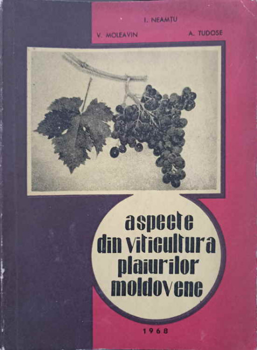 ASPECTE DIN VITICULTURA PLAIURILOR MOLDOVENE-I. NEAMTU, V. MOLEAVIN, A. TUDOSE