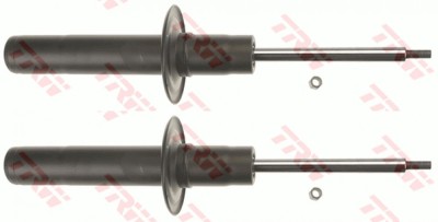 TRW JGM1086T TRW TWIN amortizor foto