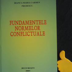 Fundamentele normelor conflictuale Bianca Maria Carmen Predescu