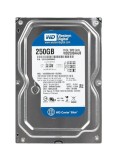 Cumpara ieftin Hard Disk HDD Western Digital 250Gb 8MB 7200rpm PATA WD2500AAJB-00J3A0