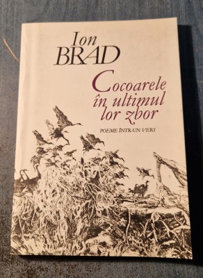 Cocoarele in ultimul zbor poeme intr-un vers Ion Brad cu autograf foto