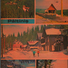 CPI B14820 - CARTE POSTALA - PALTINIS, MOZAIC