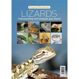 Lizards - Understanding and caring for your lizard
