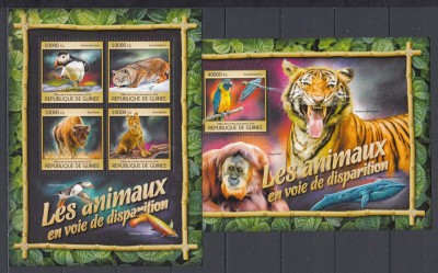 Guinea 2016 - ANIMALE IN PERICOL DE DISPARITIE - BL+KB - MNH foto