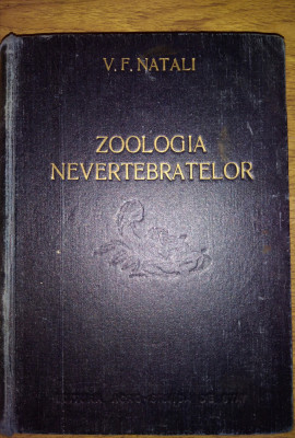 Zoologia Nevertebratelor - V. F. Natali 1954 foto