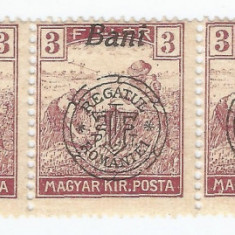 |Romania, Emisiunea Oradea, LP 12c/1919, Seceratorii, 3 Bani, straif, MNH