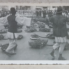 OLTENI PRINSI IN HORA IN JURUL COBILITELOR ASEZATE PE CALEA VICTORIEI , IN PIATA PALATULUI REGAL , IN ' SAPTAMANA FRUCTELOR ' , FOTOGRAFIE TIP CARTE