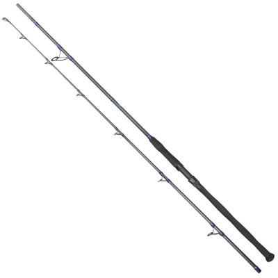 Lanseta carbon Baracuda Lazy Catfish 2.85 m, A: 300 - 500 g, pentru somn foto