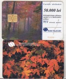Bnk card Cartela telefonica 1999 - Frunze - RO-ROM-0047