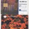 bnk card Cartela telefonica 1999 - Frunze - RO-ROM-0047