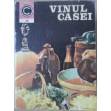 VINUL CASEI-S. TEODORESCU-95419