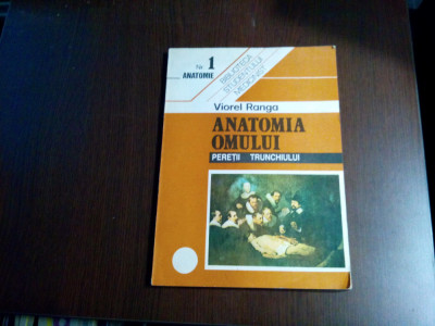 ANATOMIA OMULUI - Peretii Trunchiului (Nr. 1) - Viorel Ranga - 1993, 175 p. foto