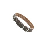 Cumpara ieftin Zgarda caine din piele + sintetic, nr 160,2.5 cm x 50 cm