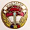 INSIGNA INVATATOR EVIDENTIAT FRUNTAS