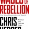 Wages of Rebellion