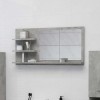 VidaXL Oglindă de baie, gri beton, 90 x 10,5 x 45 cm, PAL