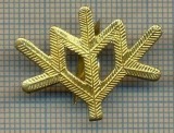 Y 1805 INSIGNA - MILITARA -SEMN DE ARMA -VANATORI DE MUNTE -PENTRU COLECTIONARI