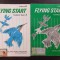 FLYING START STUDENT&#039;S BOOK 2 + ACTIVITY BOOK 2