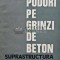 Poduri pe grinzi de beton. Suprastructura - 1987 - Chimon Capatu (AH84)