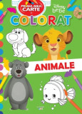 Disney bebe. Prima mea carte de colorat. Animale - Litera