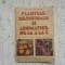 plante medicinale de la a la z bojor alexan ed. a II-a completata RECOOP 1984