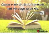 Card magnetic laminat &amp;amp;ndash; Citeste o mie de carti si cuvintele tale vor curge ca un rau