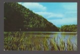 CPIB 24200 CARTE POSTALA - LUCACESTI. LACUL DE LA BOLATAU, SCRISA SI NECIRCULATA, DATATA: 1967