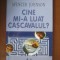 Spencer Johnson - Cine mi-a luat cașcavalul ?