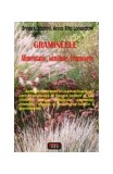 Gramineele. Alimentaţie, sănătate, frumuseţe - Paperback brosat - Anna Rita Lonardoni, Ennio Lazzarini - Antet Revolution