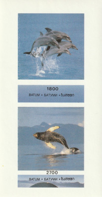 Batum (Georgia) 1996-Fauna,Balene si delfini,bloc 2 val.,ned.,nest.GE-BT Col.30B foto