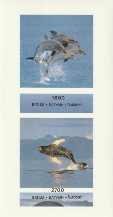 Batum (Georgia) 1996-Fauna,Balene si delfini,bloc 2 val.,ned.,nest.GE-BT Col.30B
