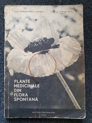 PLANTE MEDICINALE DIN FLORA SPONTANA - Constantinescu, Agopian foto