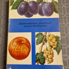 Determinator pomicol soiuri de fructe volumul 2 T. Bordeianu