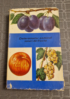Determinator pomicol soiuri de fructe volumul 2 T. Bordeianu foto