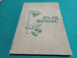 ATLAS BOTANIC * LUCIA POPOVICI, CONSTANȚA MORUZI * 1973 * 30
