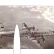CP Tarom, IL-18 turboprop airliner, necirculata, stare excelenta