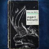 Ingeri Biciuiti - Alecu Ivan Ghilia - Roman - Beletristica