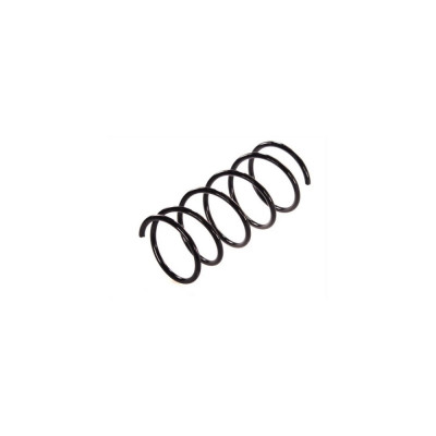 Arc spiral CITROEN ZX N2 Magnum Technology foto